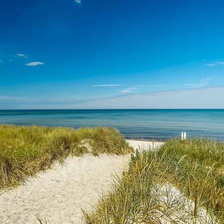 Lachmoewe Rostock
